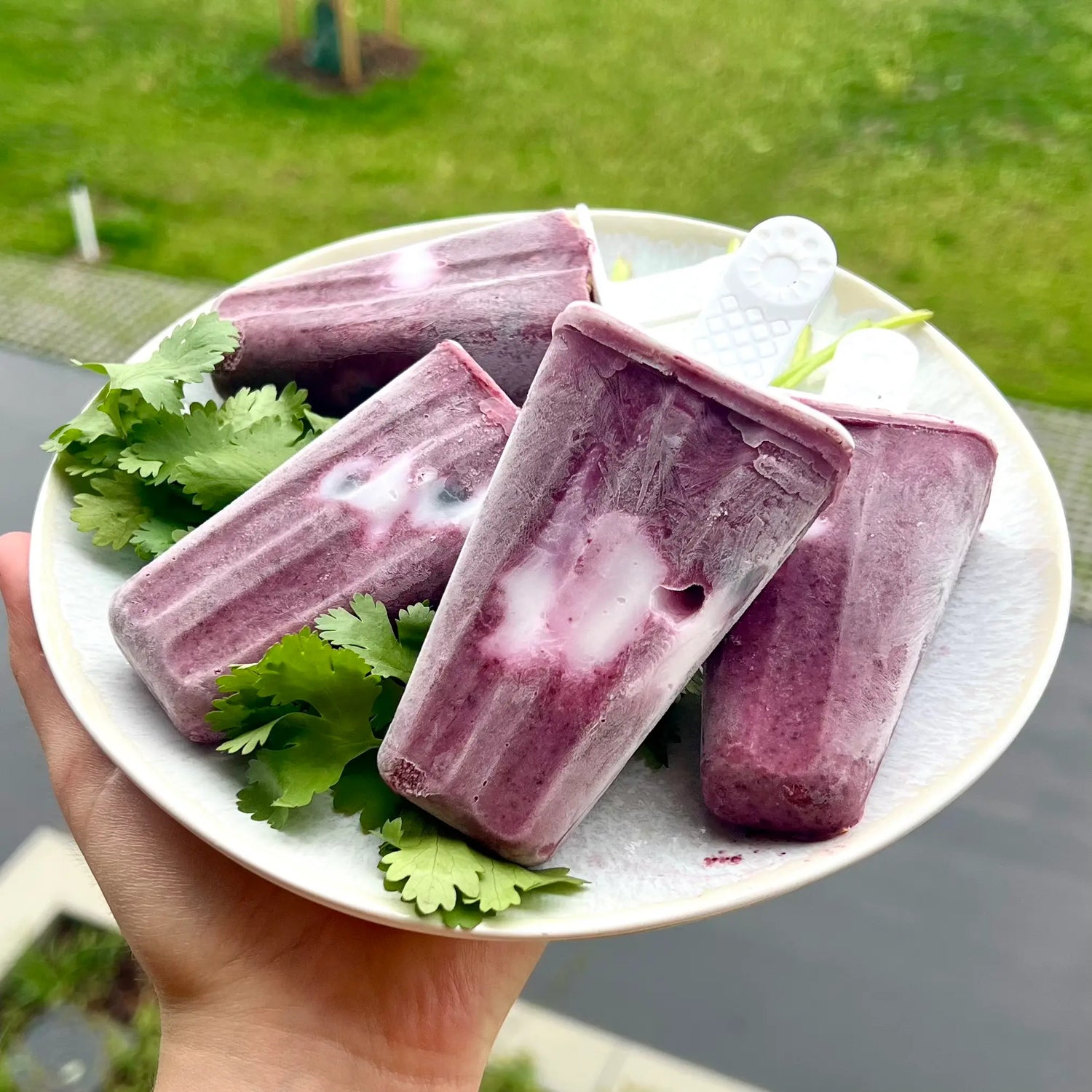 Bâtonnets de glace aux myrtilles