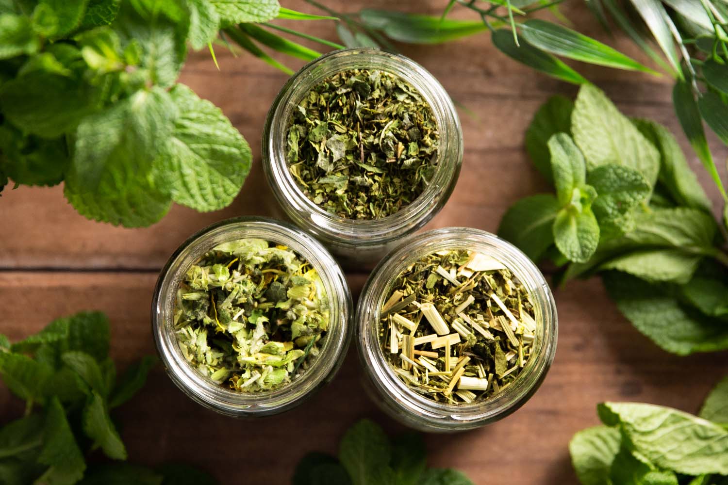 Kleiner Kräutergarten - Bio-Tee-Geschenk- & Sparset von Besser im Glas.