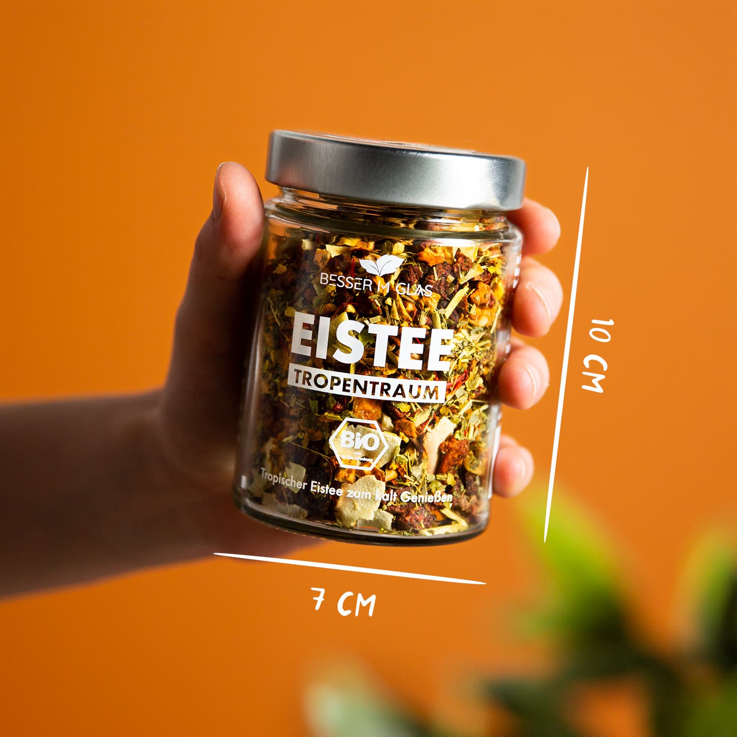 Eistee Probierpaket