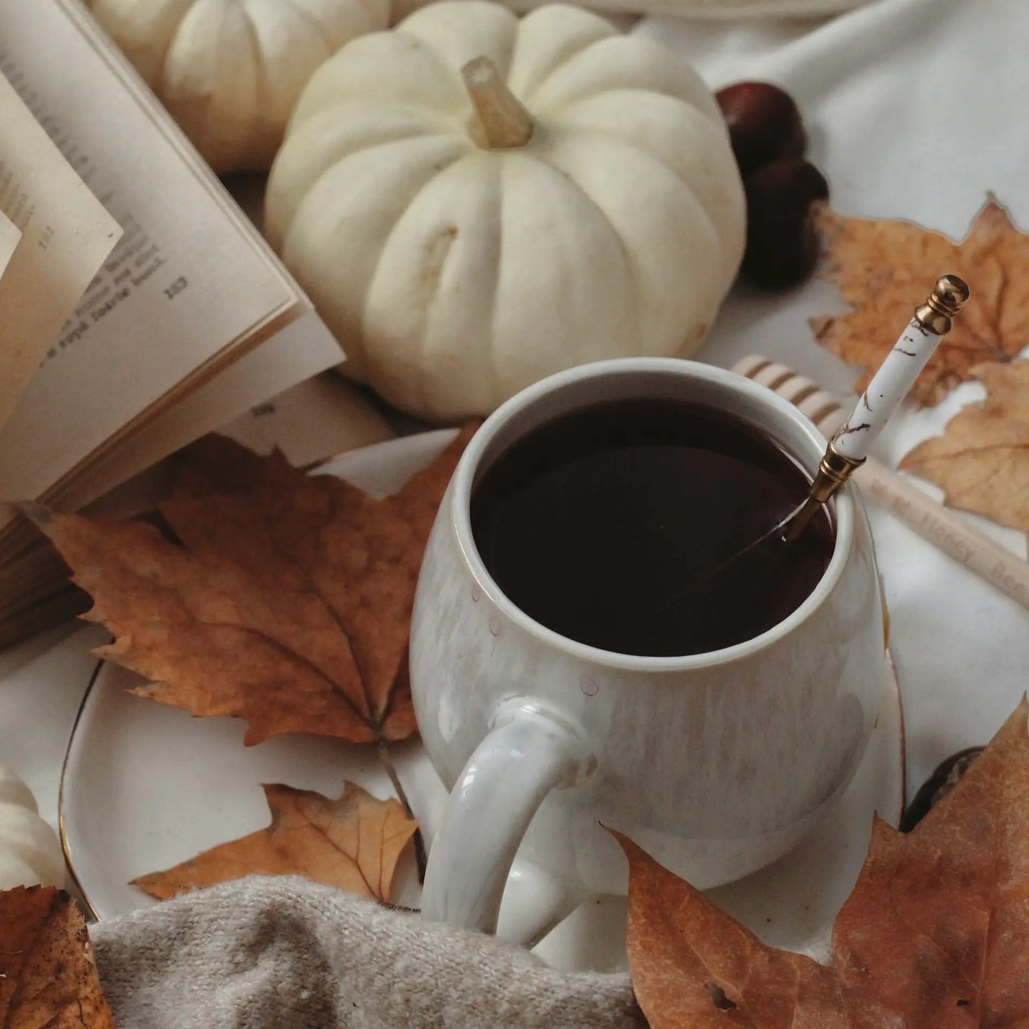 Deine Herbst-Bucketlist 2025 ✨🍂