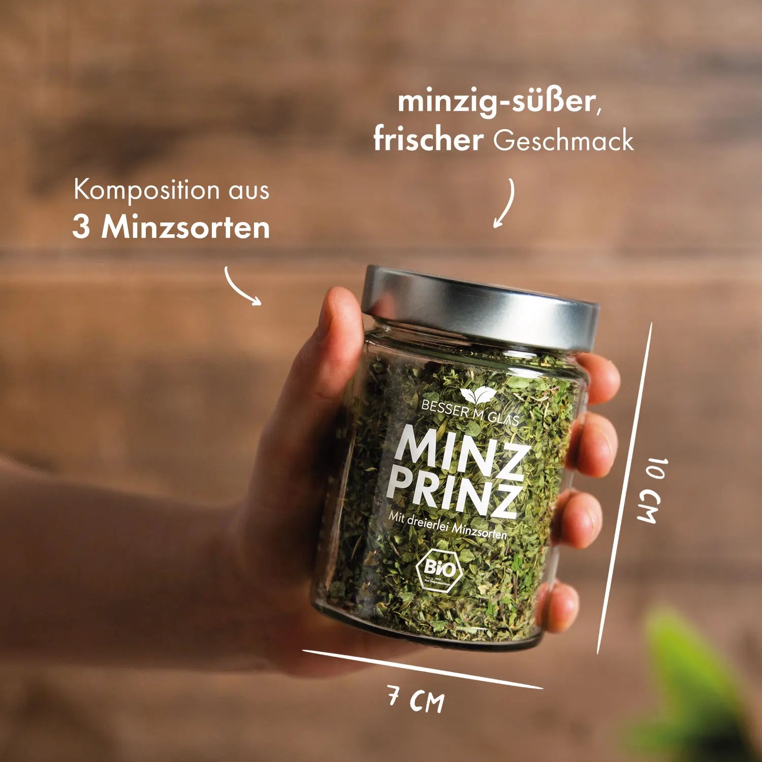 Minz Prinz