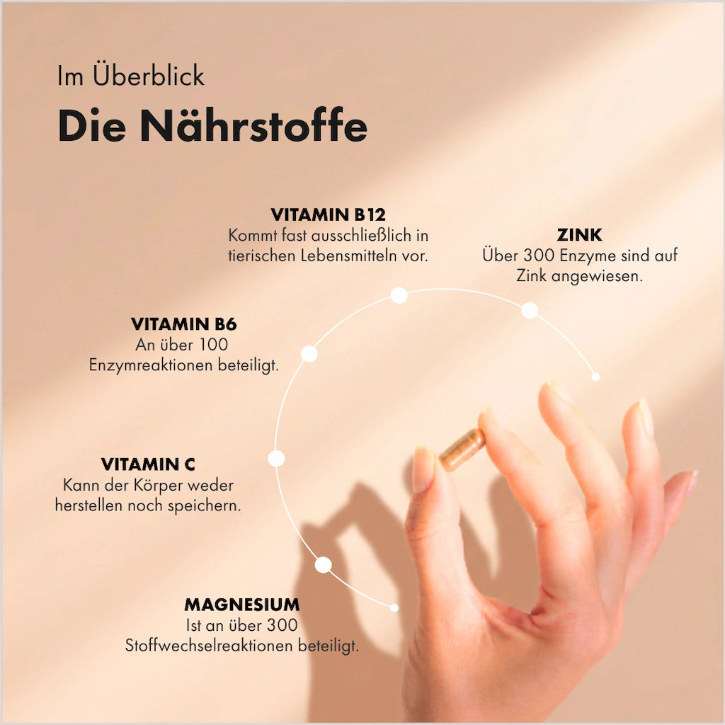 Energie Balance