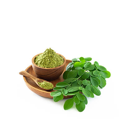 Zutat: Moringa. Bio-Qualität und ohne Zusatzstoffe